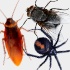 insect killer game online